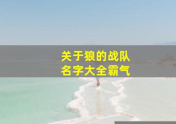 关于狼的战队名字大全霸气