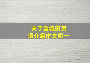 关于盐城的英语介绍作文初一