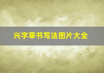 兴字草书写法图片大全