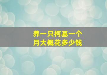 养一只柯基一个月大概花多少钱