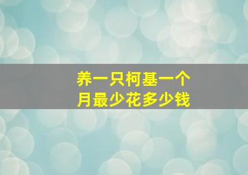 养一只柯基一个月最少花多少钱