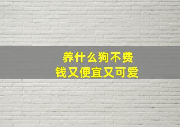 养什么狗不费钱又便宜又可爱