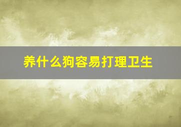 养什么狗容易打理卫生