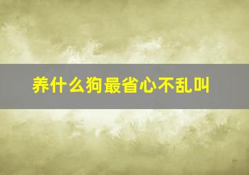 养什么狗最省心不乱叫