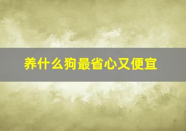 养什么狗最省心又便宜