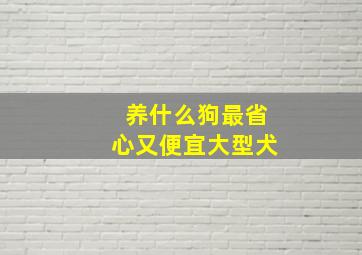 养什么狗最省心又便宜大型犬