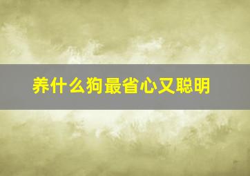 养什么狗最省心又聪明