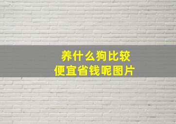 养什么狗比较便宜省钱呢图片