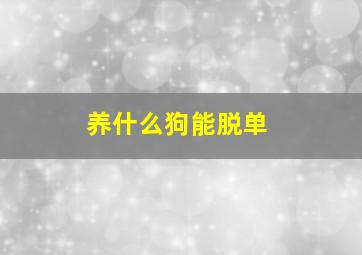 养什么狗能脱单