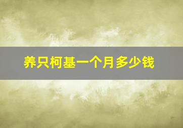 养只柯基一个月多少钱