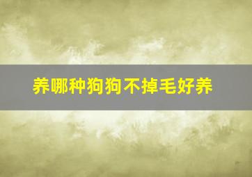 养哪种狗狗不掉毛好养