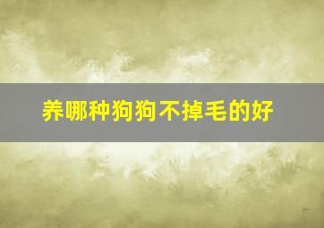 养哪种狗狗不掉毛的好