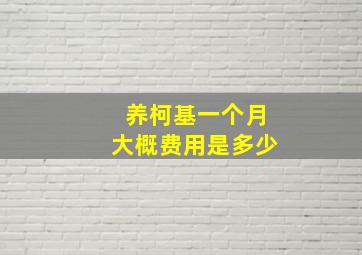 养柯基一个月大概费用是多少