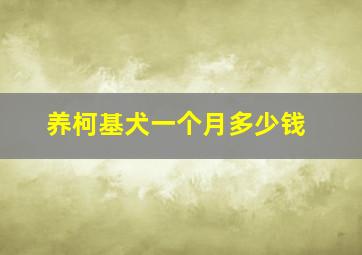 养柯基犬一个月多少钱