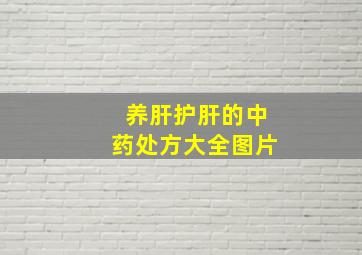 养肝护肝的中药处方大全图片