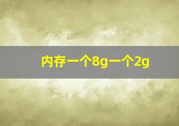 内存一个8g一个2g