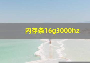 内存条16g3000hz