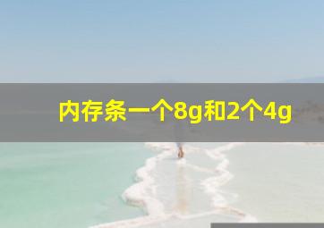 内存条一个8g和2个4g