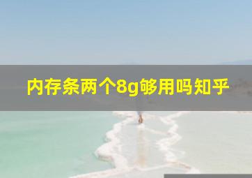 内存条两个8g够用吗知乎