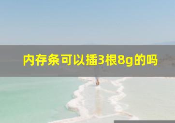 内存条可以插3根8g的吗