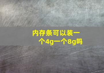 内存条可以装一个4g一个8g吗