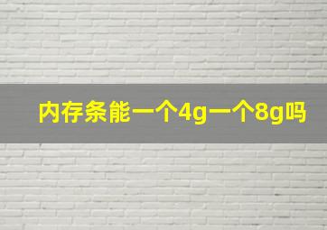 内存条能一个4g一个8g吗