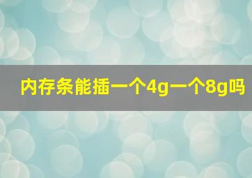 内存条能插一个4g一个8g吗