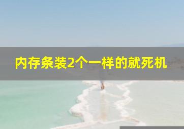 内存条装2个一样的就死机