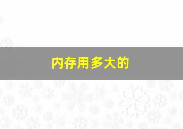 内存用多大的