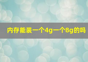 内存能装一个4g一个8g的吗