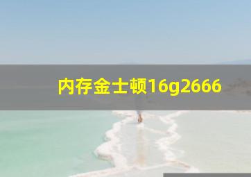 内存金士顿16g2666