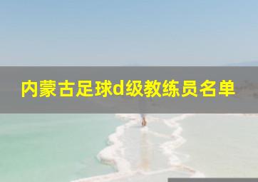 内蒙古足球d级教练员名单