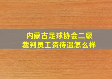 内蒙古足球协会二级裁判员工资待遇怎么样