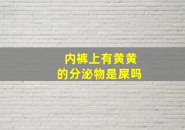 内裤上有黄黄的分泌物是屎吗