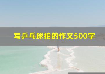 写乒乓球拍的作文500字