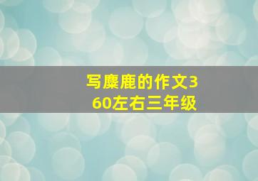 写麋鹿的作文360左右三年级