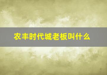 农丰时代城老板叫什么