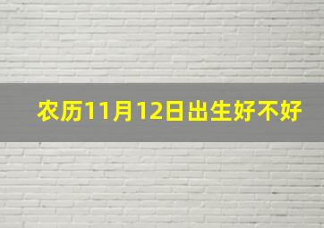 农历11月12日出生好不好