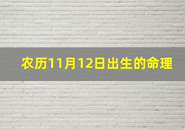 农历11月12日出生的命理