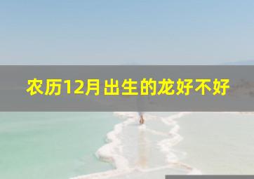 农历12月出生的龙好不好