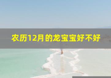 农历12月的龙宝宝好不好