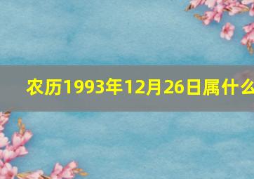 农历1993年12月26日属什么