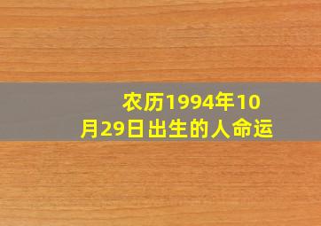 农历1994年10月29日出生的人命运