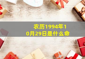 农历1994年10月29日是什么命