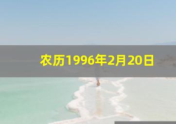 农历1996年2月20日