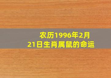 农历1996年2月21日生肖属鼠的命运