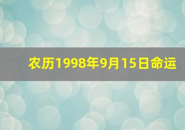 农历1998年9月15日命运