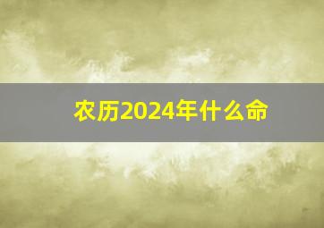 农历2024年什么命