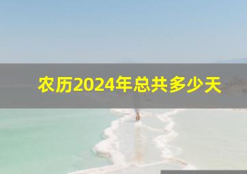 农历2024年总共多少天