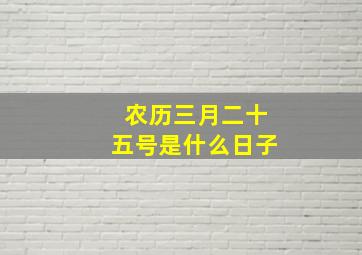 农历三月二十五号是什么日子